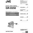 JVC GR-D250EK Owners Manual JVC GR-D250EK Owners Manual