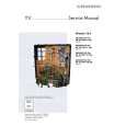 GRUNDIG CHASSIS16.1 Service Manual GRUNDIG CHASSIS16.1 Service Manual