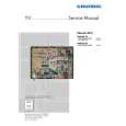 GRUNDIG 22.2 CHASSIS Service Manual GRUNDIG 22.2 CHASSIS Service Manual
