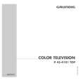 GRUNDIG P45-4101TOP Owners Manual GRUNDIG P45-4101TOP Owners Manual