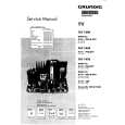 GRUNDIG GREENVILLE 100 SE Service Manual GRUNDIG GREENVILLE 100 SE Service Manual
