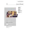 GRUNDIG TF725211 Service Manual GRUNDIG TF725211 Service Manual