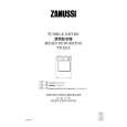 ZANUSSI TD4213 Owners Manual ZANUSSI TD4213 Owners Manual