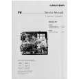 GRUNDIG 55MFS55-46018TOP Service Manual GRUNDIG 55MFS55-46018TOP Service Manual