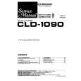 PIONEER CLD-52 Service Manual PIONEER CLD-52 Service Manual